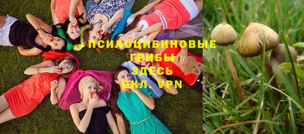 трава Балабаново