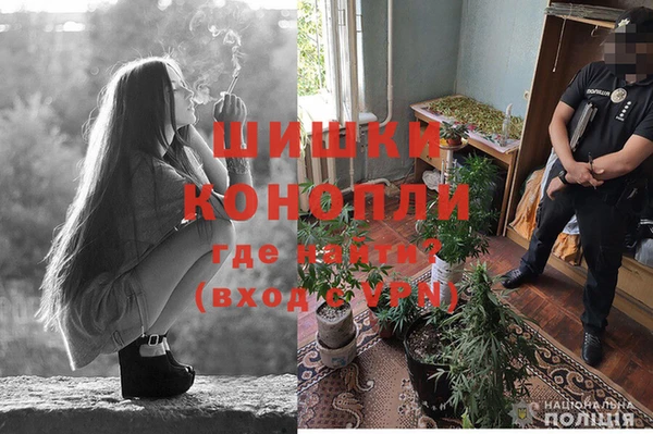 MESCALINE Балахна