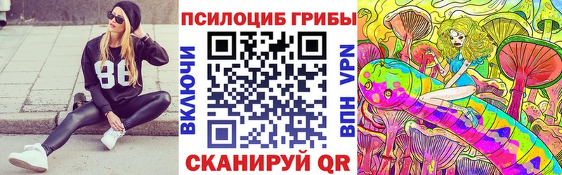 Купить  Гусиноозёрск  Галлюциногенные грибы GOLDEN TEACHER 